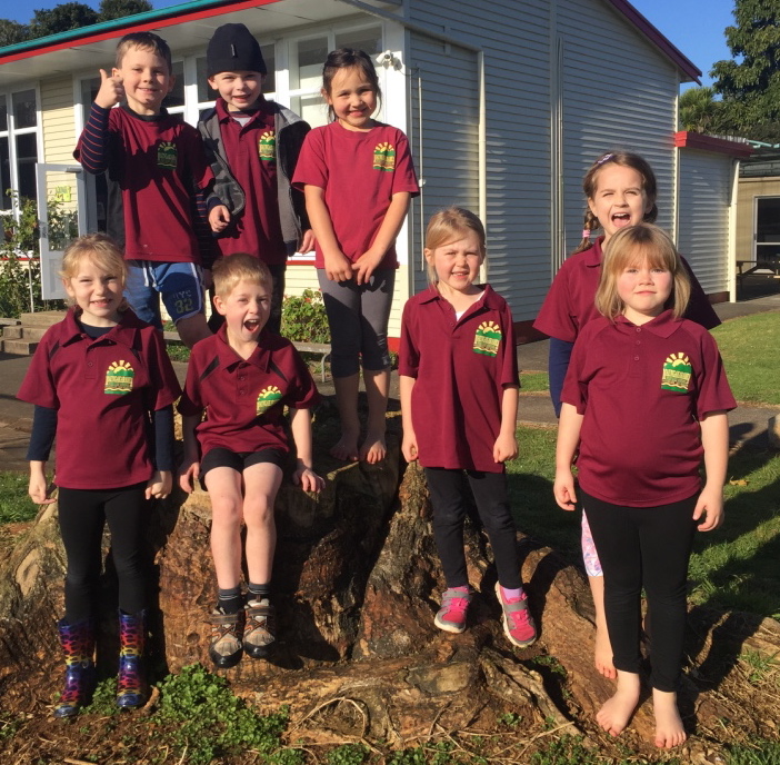 cross country 5